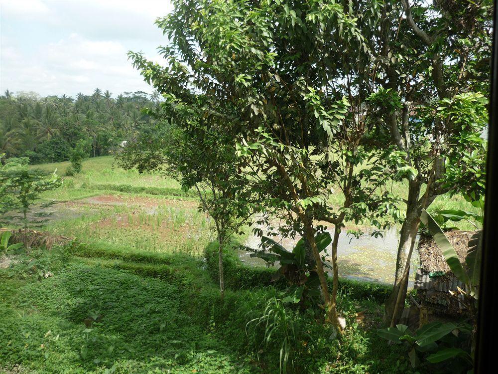Kudos Guesthouse Ubud Екстер'єр фото