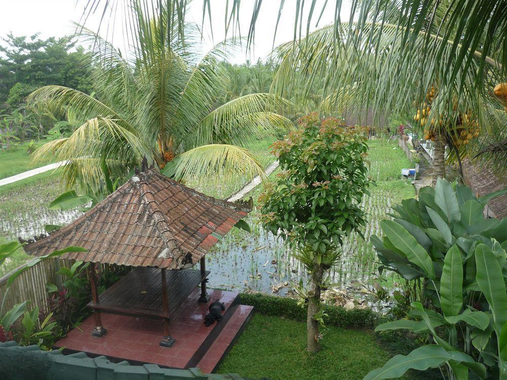 Kudos Guesthouse Ubud Екстер'єр фото