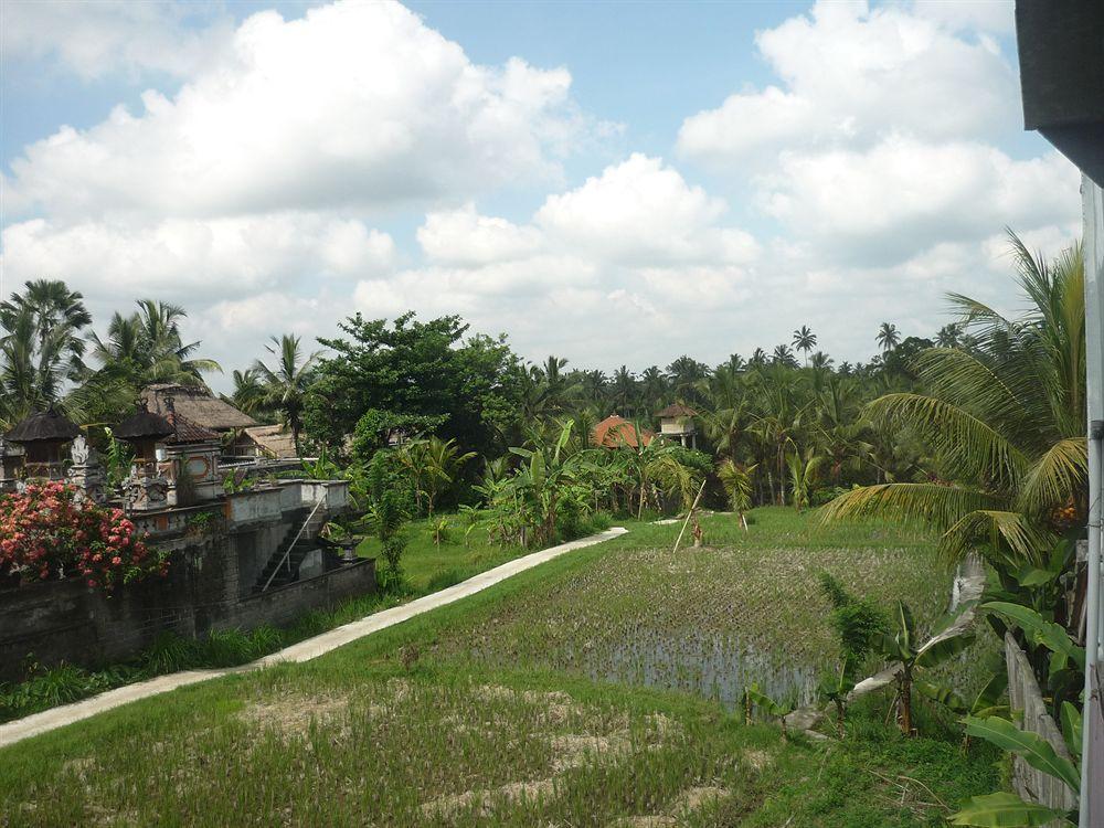 Kudos Guesthouse Ubud Екстер'єр фото